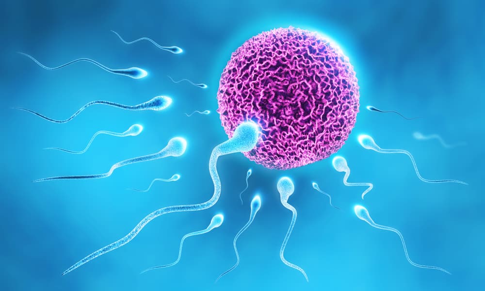 Punca Sperma Tidak Memenuhi Telur dan Cara Mengatasinya