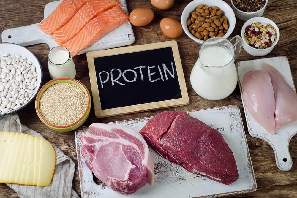 Вкусни и здравословни, тези 7 храни съдържат високо съдържание на протеини