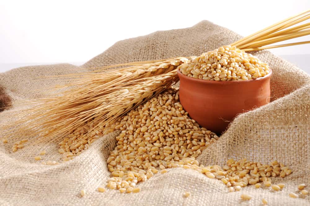 Tipi di alimenti a base di grano, sani e più pieni più a lungo