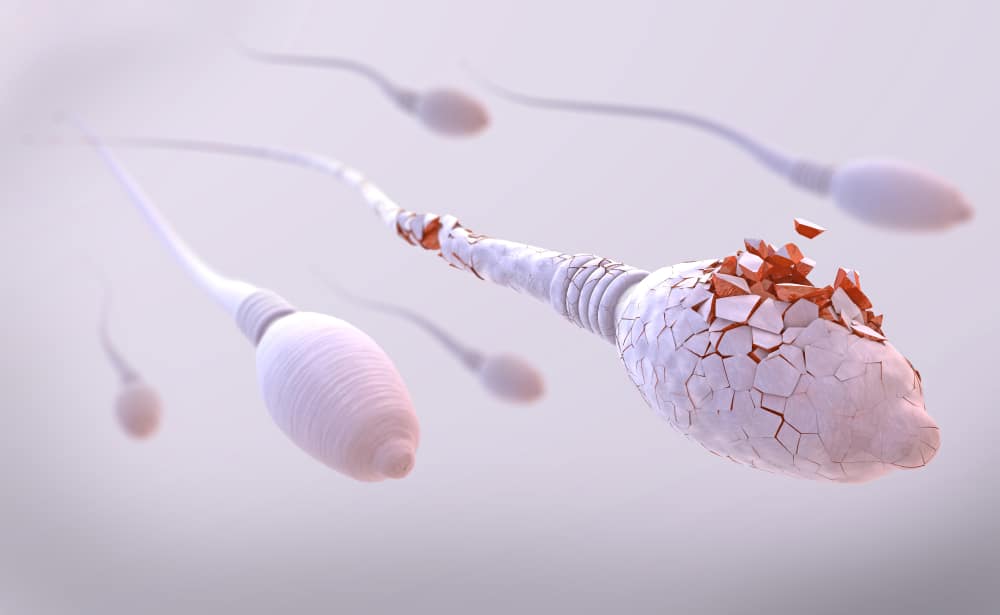 จริงหรือไม่ที่ Spermicide ฆ่าอสุจิมีผลในการชะลอการตั้งครรภ์?