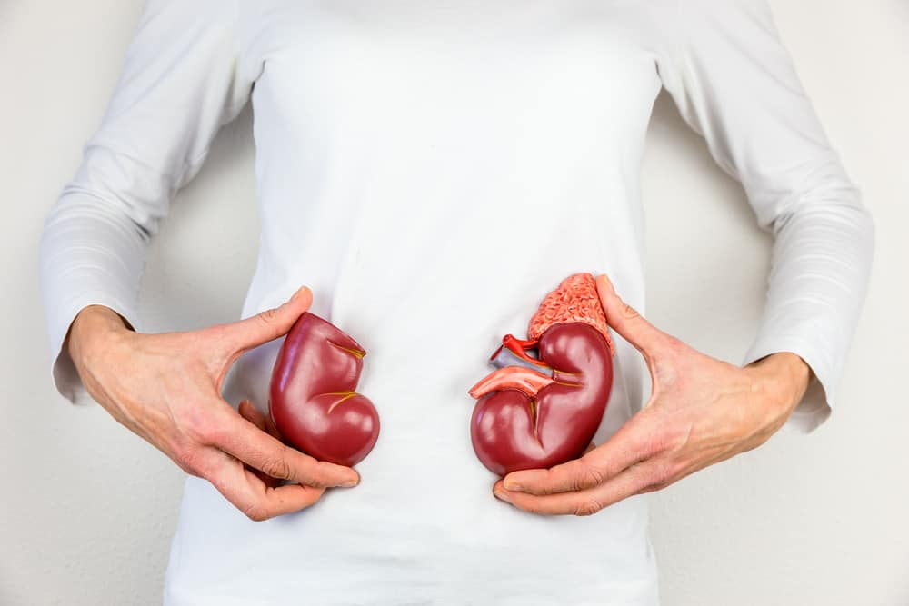 体の毒素を取り除くことに加えて、これらはあなたが知っておくべき7つの腎臓機能です！