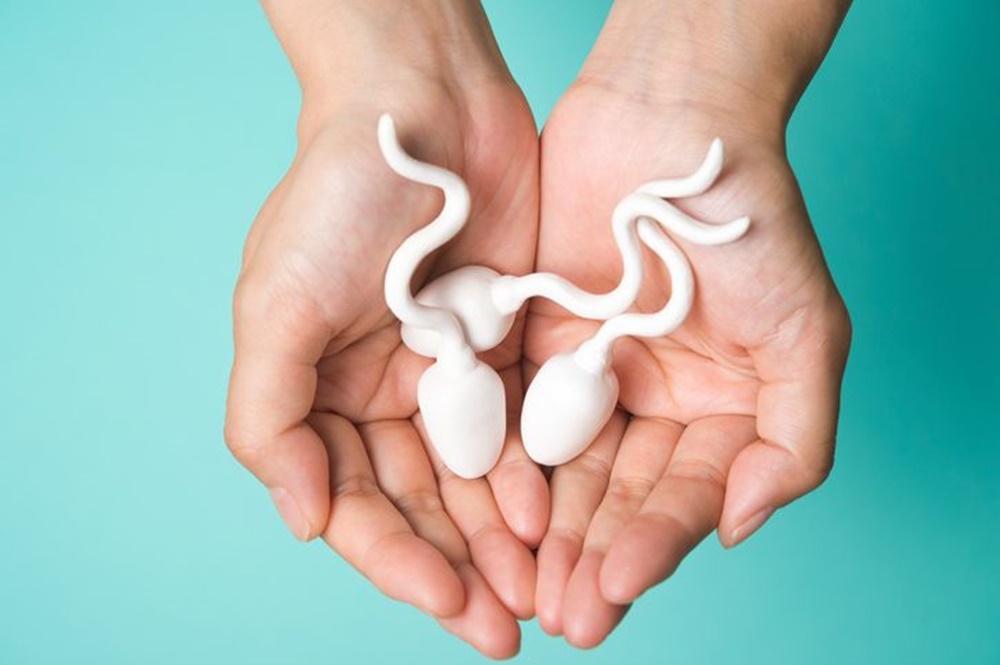 Сперматозоидите оцеляват извън тялото, може ли да забременее?