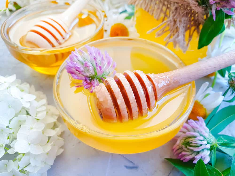 ليس فقط حلوًا ، إليك 5 فوائد لعسل البرسيم لصحة الجسم