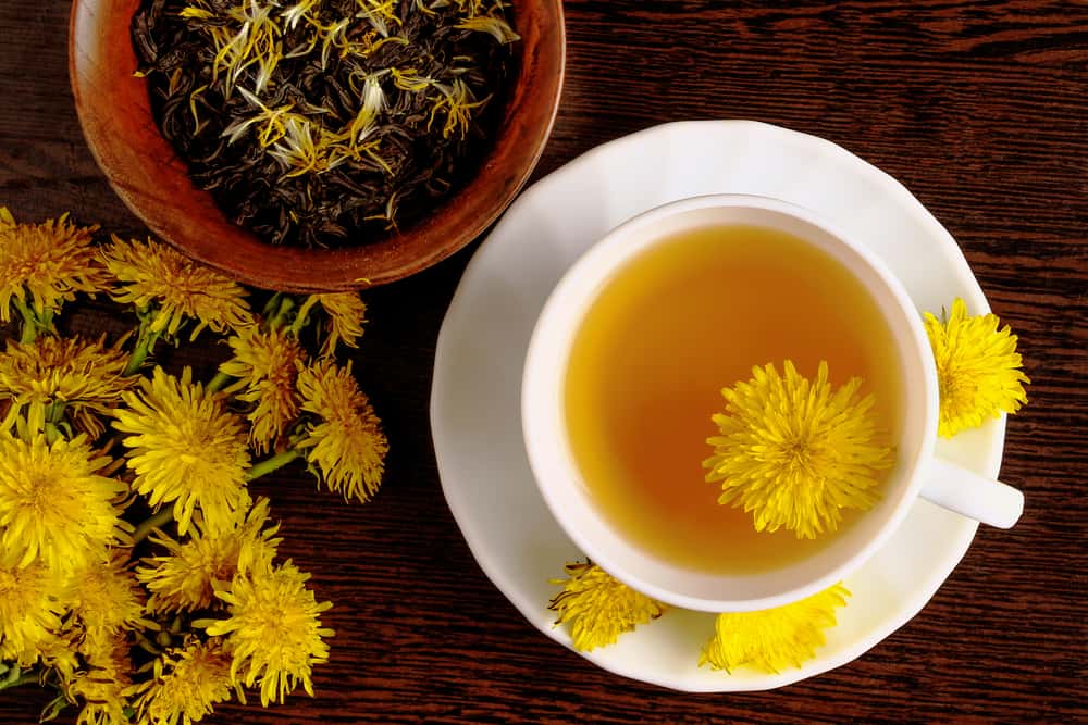 9 benefici del tè di tarassaco per la salute, mantenere l'immunità per superare la pressione sanguigna