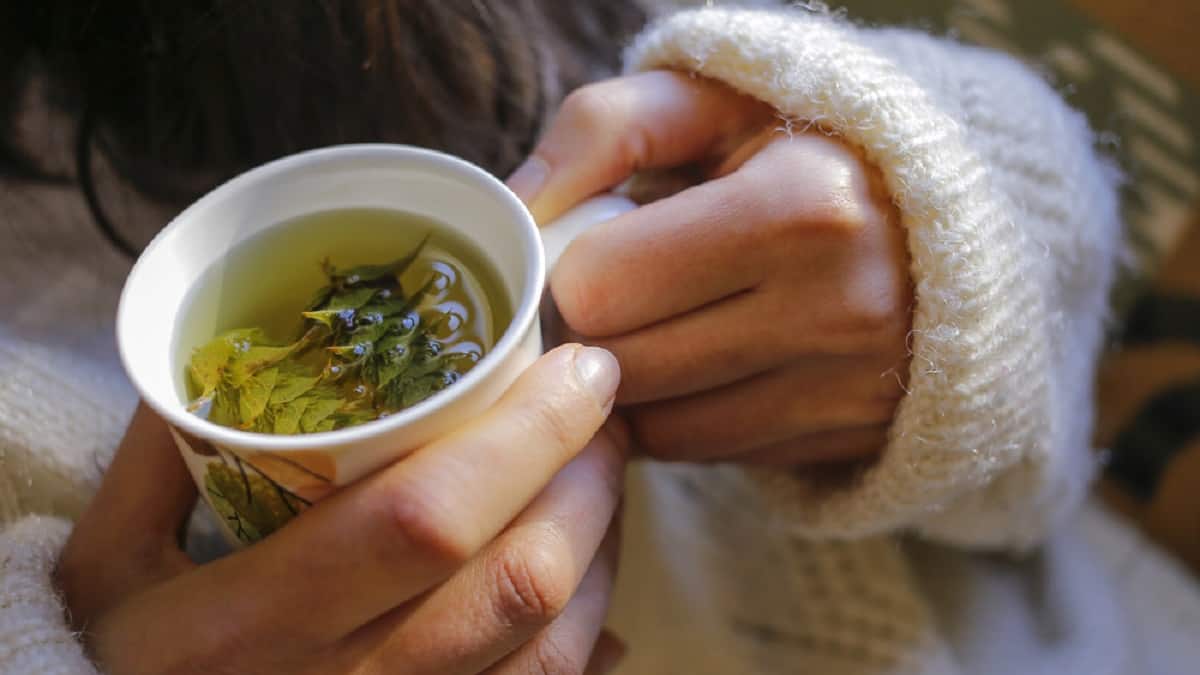 Поредица от предимства на китайски чай от тиково листо, лекарство за прочистване на червата