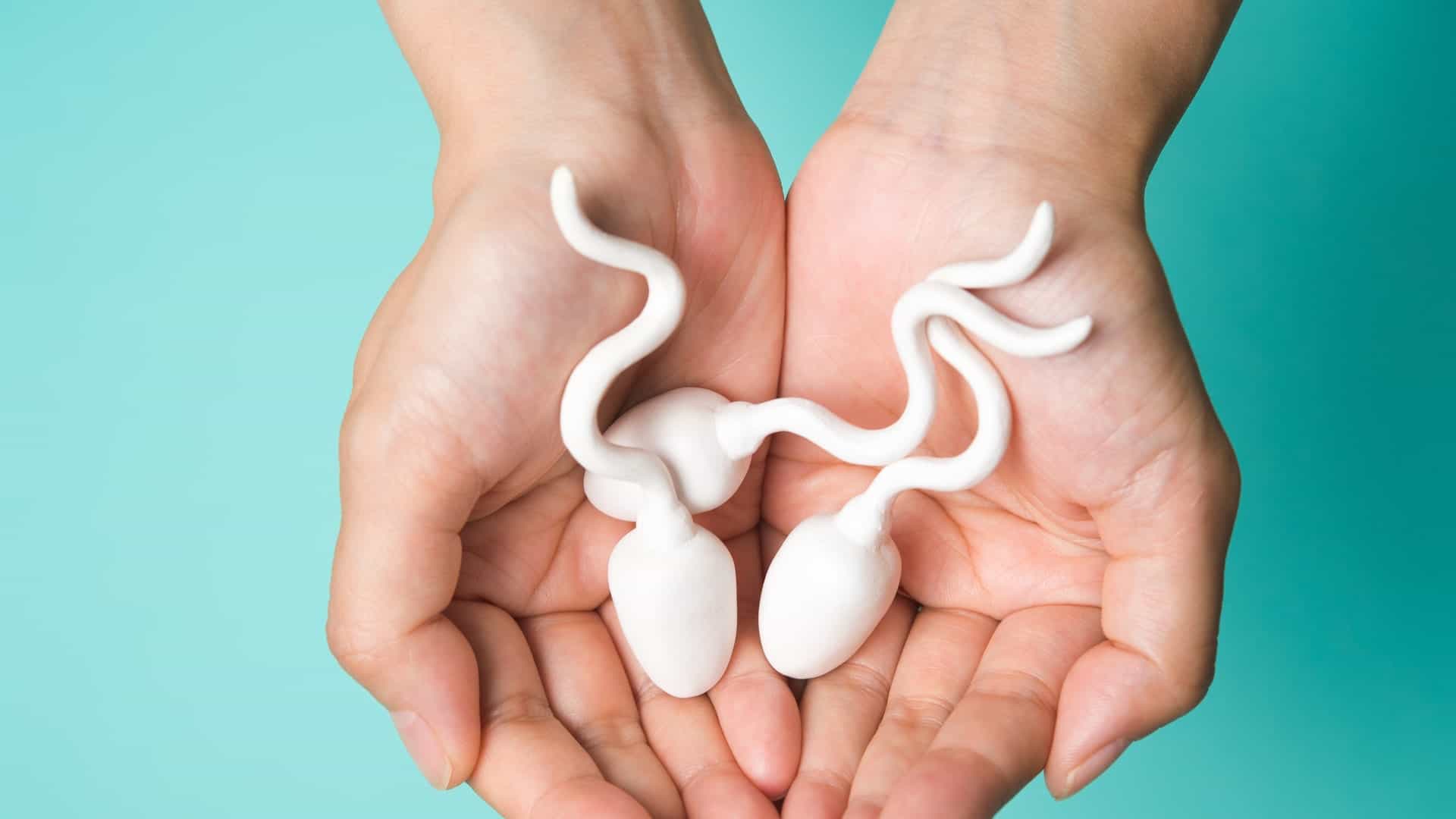 Confuso alla ricerca di cibo per sperma sano? Ecco 8 elenchi completi!