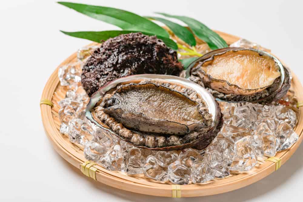 8 Khasiat Sihat Abalone aka Siput Laut: Sesuai untuk Diet dan Mencegah Artritis