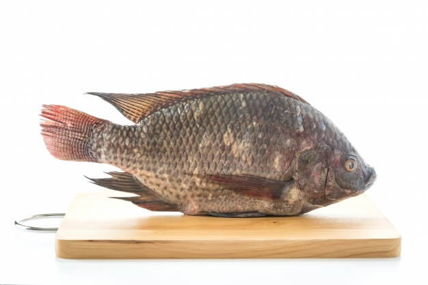 Евтини и питателни, бележка 6 Ползите от рибата тилапия за здравето