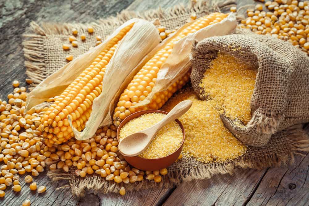 Освен понижаване на холестерола, ето различни ползи от царевицата, които можете да получите!
