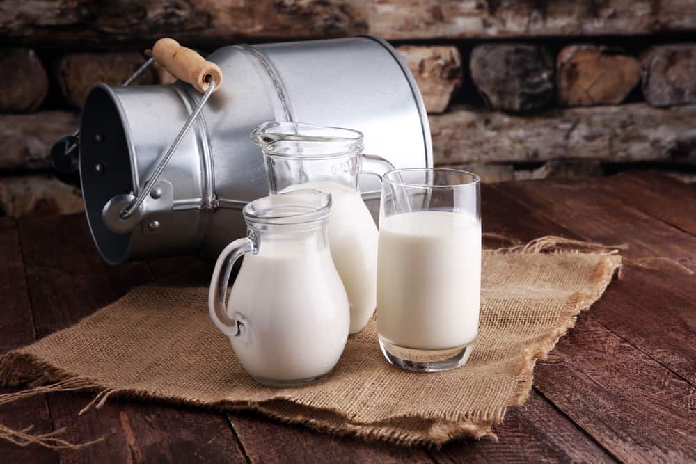 İnek Sütü vs Soya Sütü Hangisi Daha Sağlıklı?