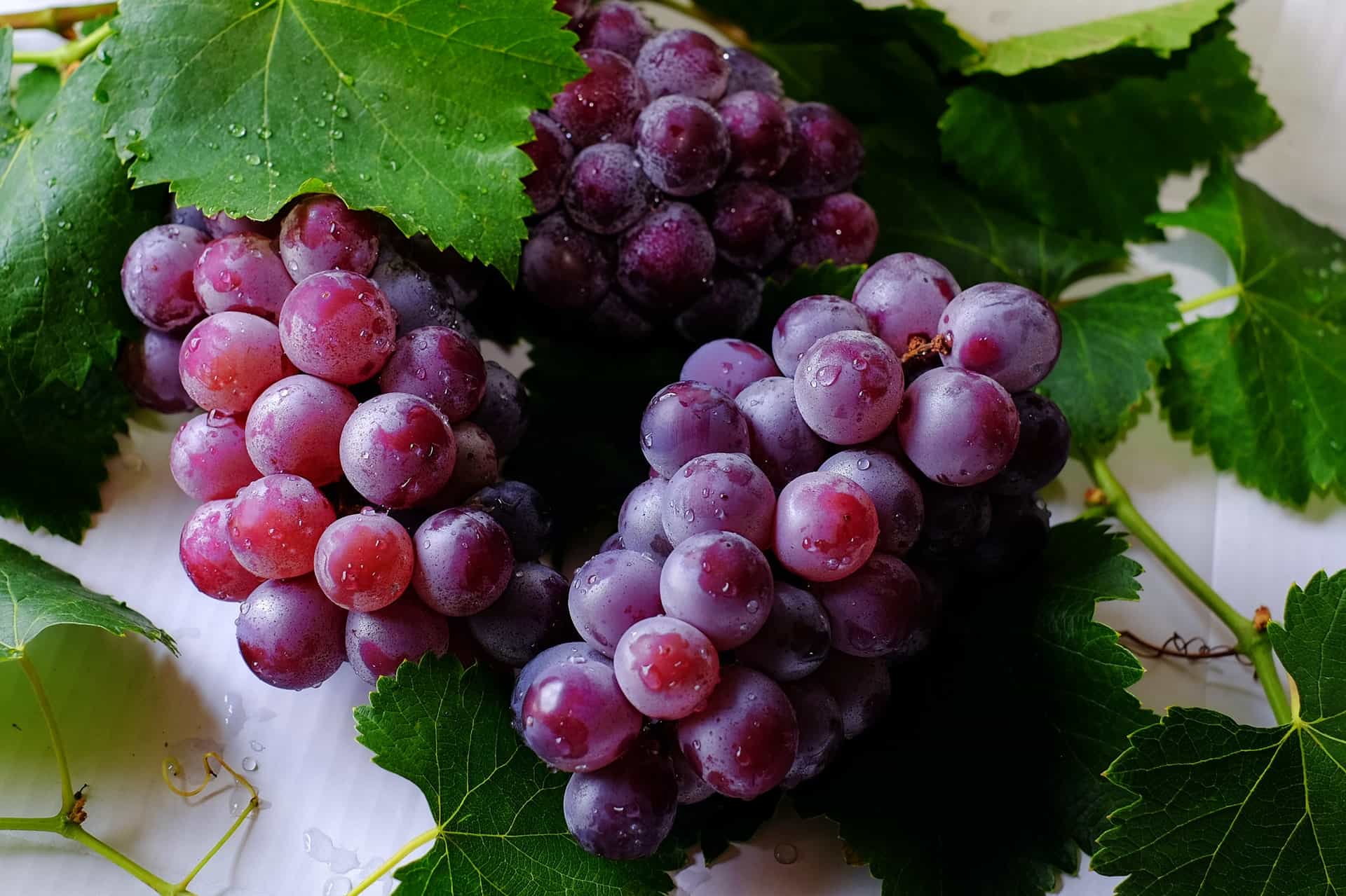 Tesoro piccolino, questi sono 7 benefici dell'uva per la salute del corpo