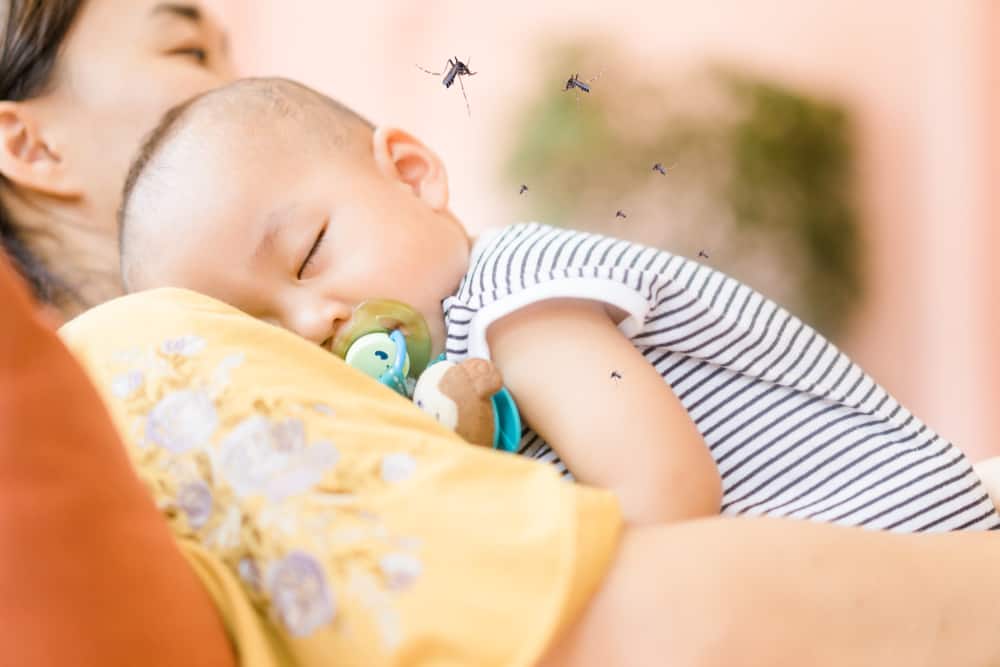 Не го приемайте леко, незабавно проверете детето си, ако почувствате тези симптоми на треска от денга