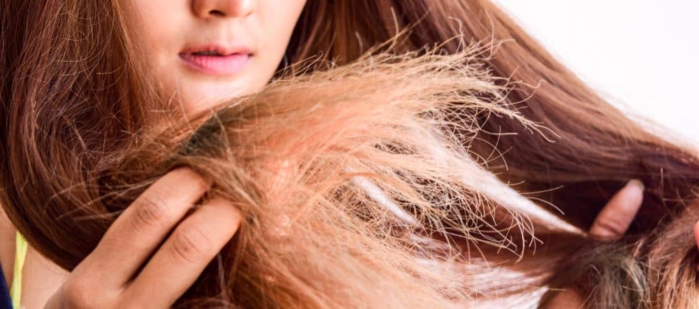 Per renderlo più lucido, ecco 8 modi per superare i capelli secchi e ramificati