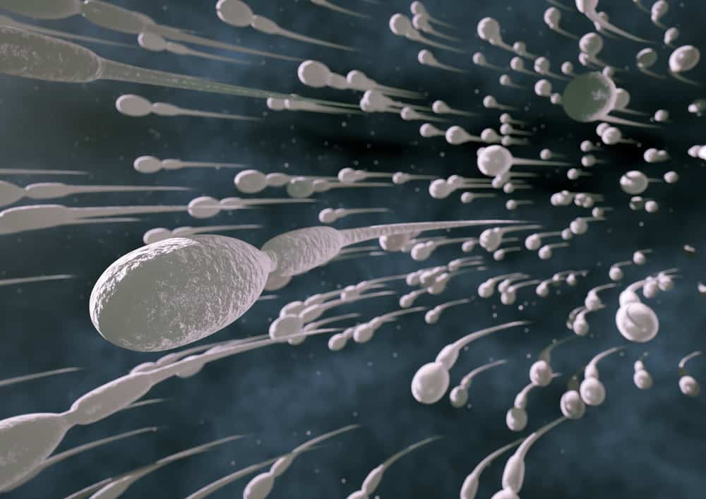 Здрави сперматозоиди, важни за мъжкия фертилитет