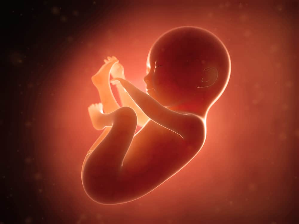 Non dimenticare di essere invitato a chattare, questo è lo sviluppo del feto di 6 mesi che fa sì che le mamme lo amino ancora di più